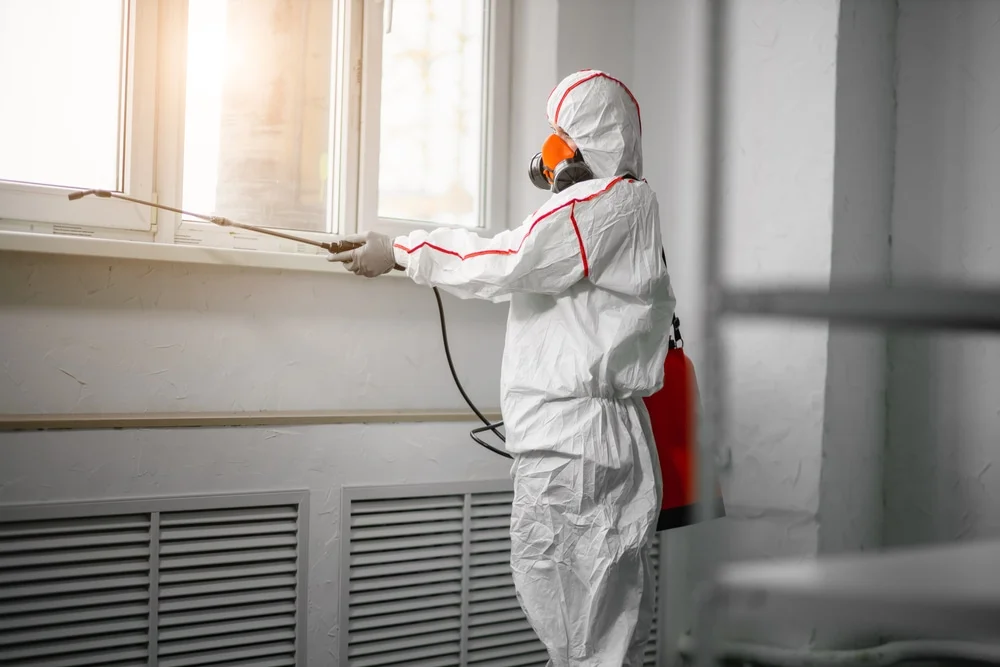 Professional mold remediation services in Preston, MN
